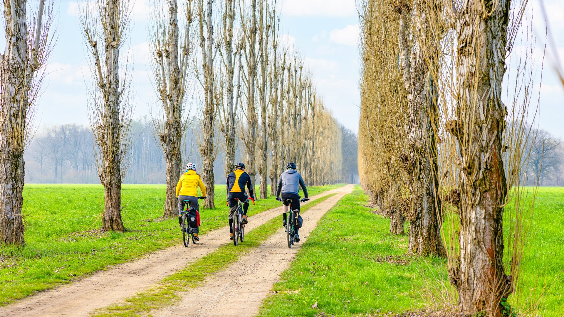 Parkland surrounding the Palazzina di Caccia di Stupinigi near Turin