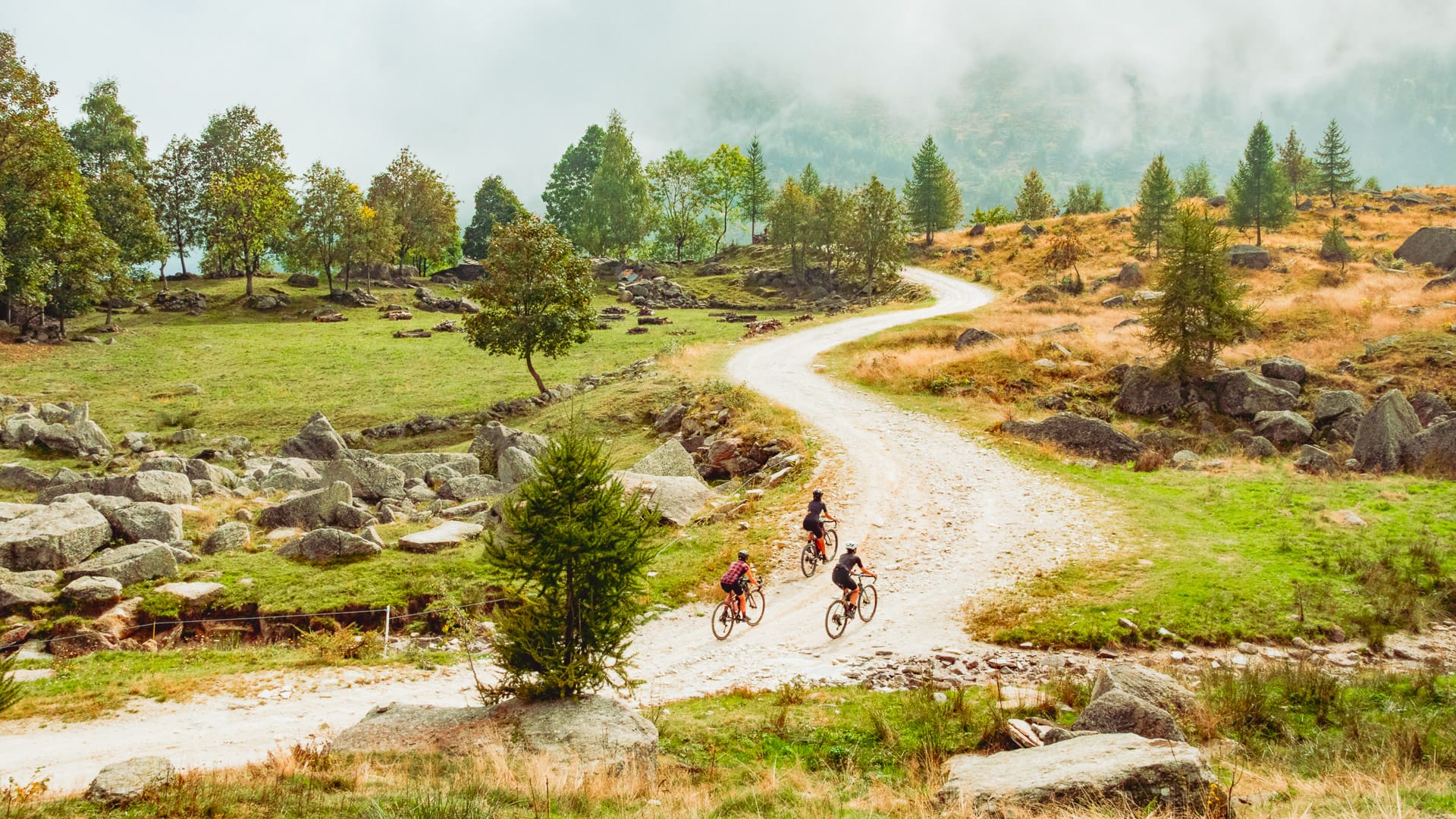 Cyclist climbing through Val Pellice in the Piemonte mountains