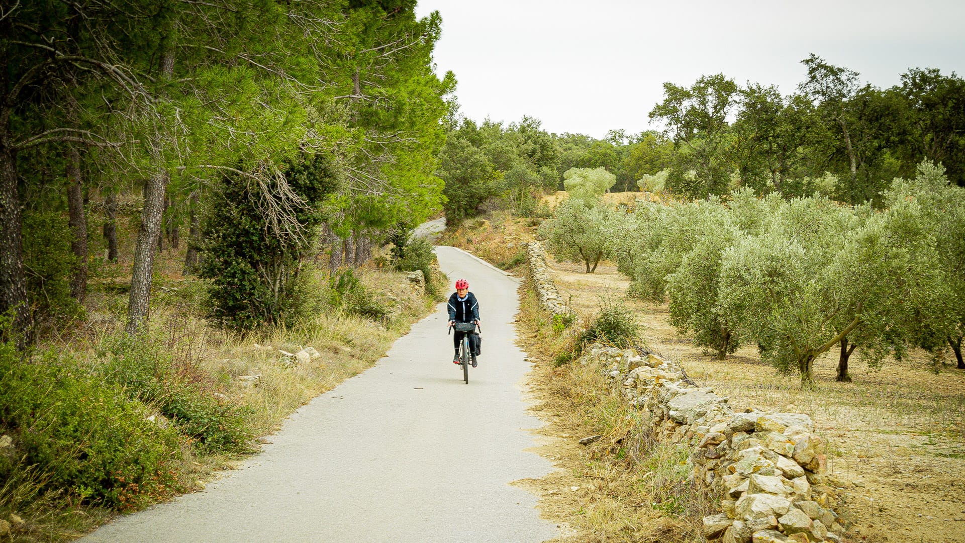 Cyclist riding a quiet route in Capmany, Alt Empordà, Girona