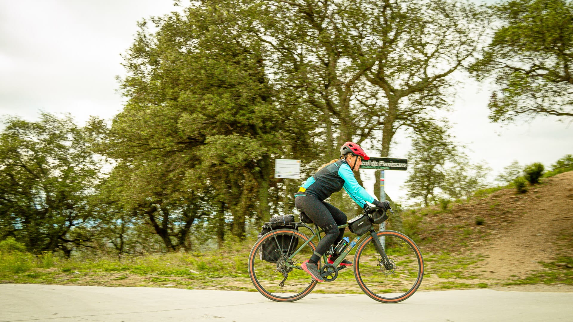 Cyclist passing trees on Coll de Panissars in the Girona Pyrenees