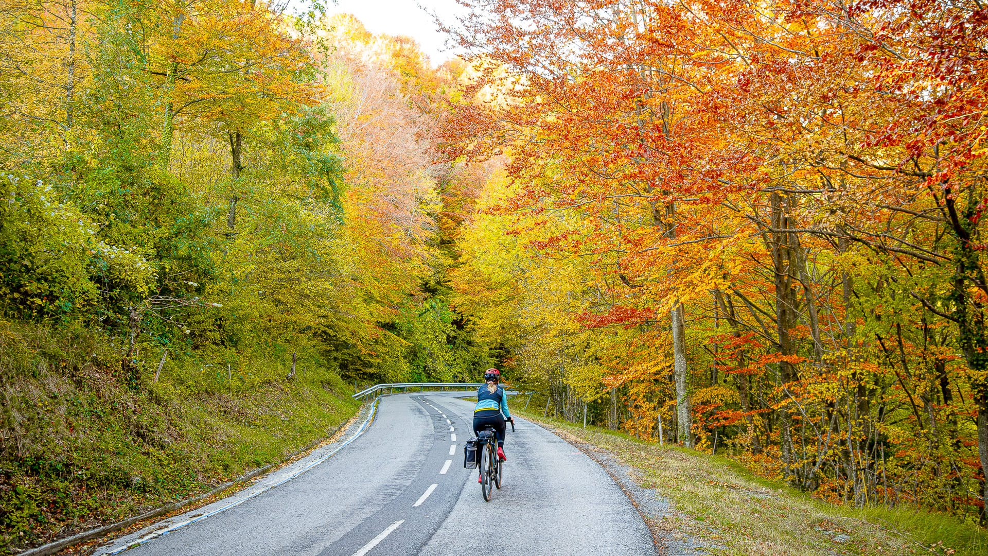 Cyclist riding through autumn foliage on Coll de Santigosa in the Girona Pyrenees