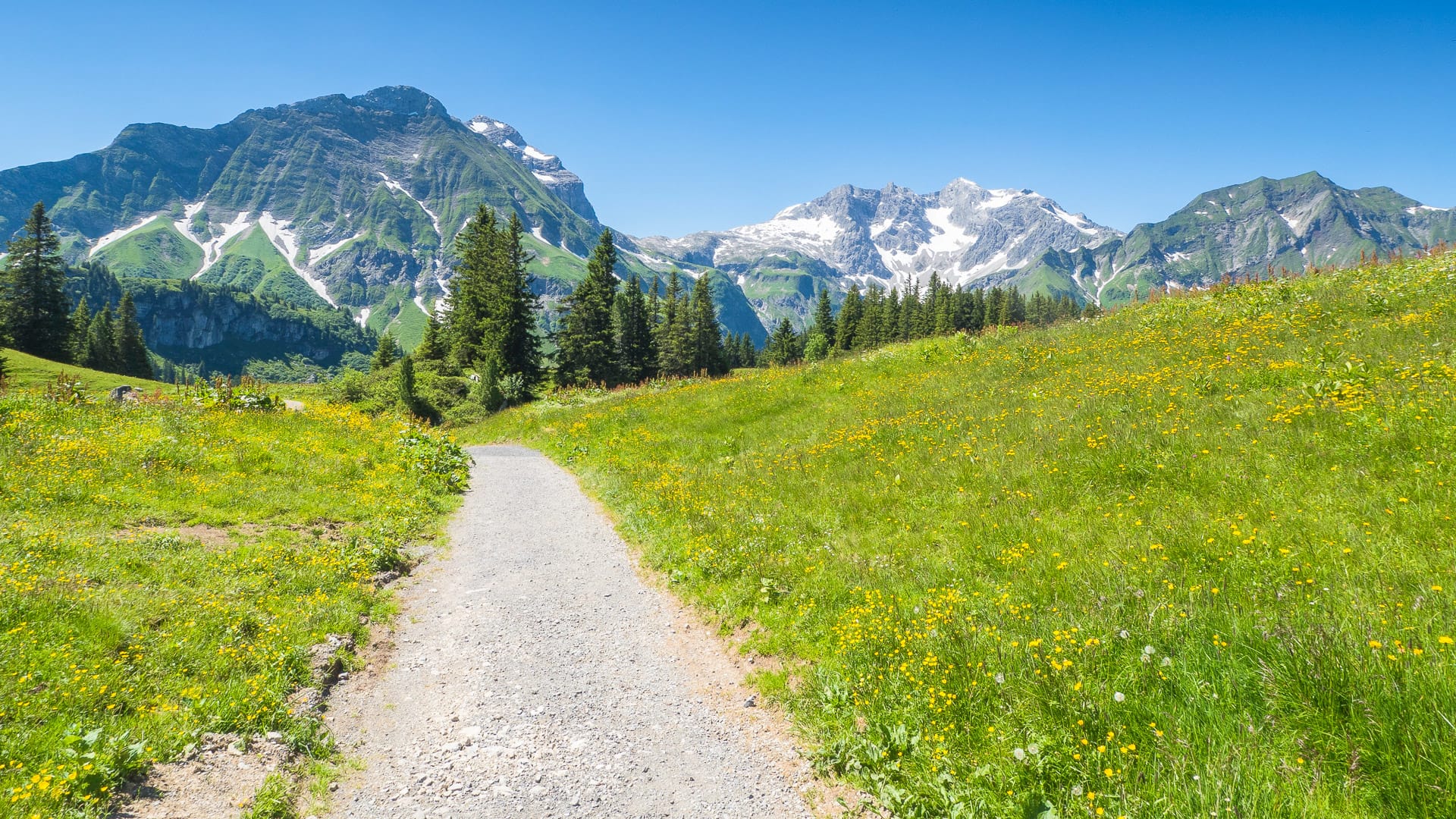A view of Alpine mountains surrounding the village Schroecken in Bregenzerwald, region Vorarlberg, Austria