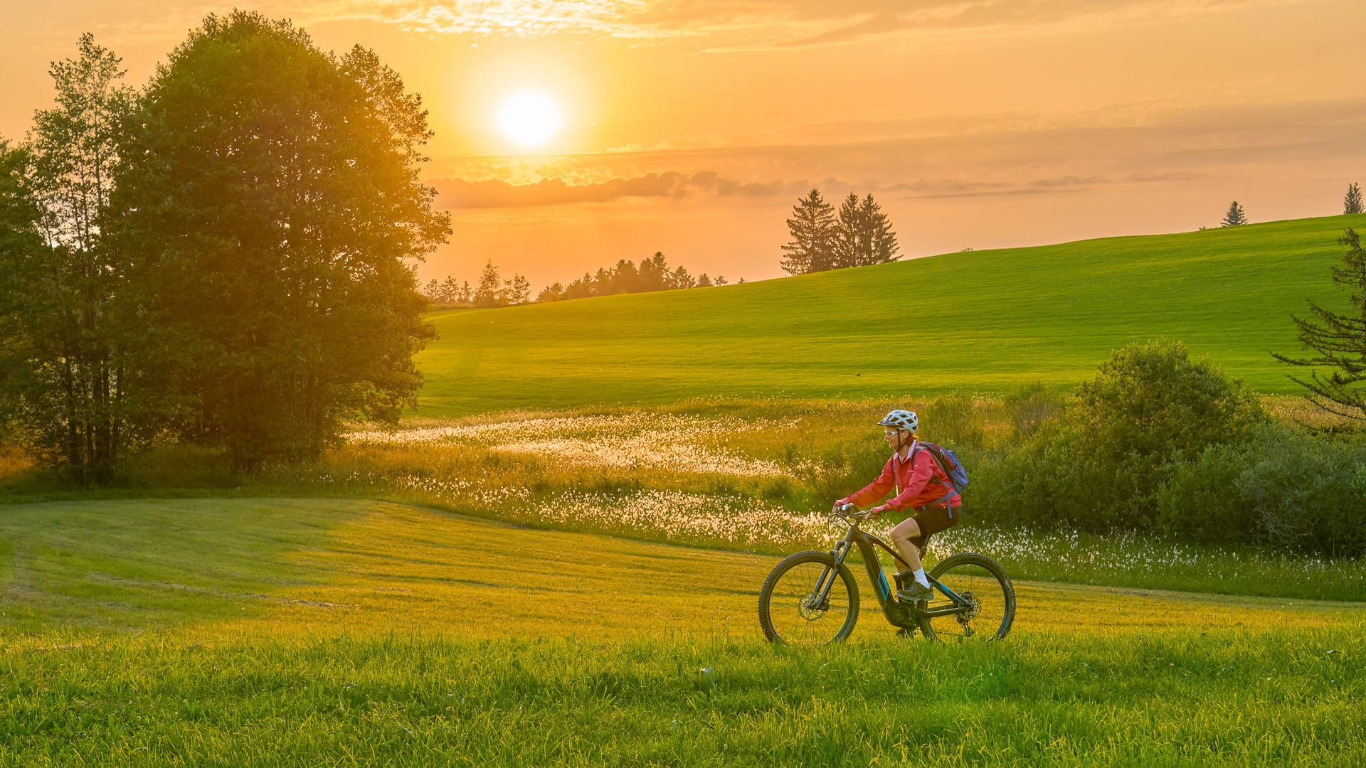 Woman riding her electric mountain bike at sunset in the Bregenz Forest mountains near Sulzberg, Vorarlberg, Austria