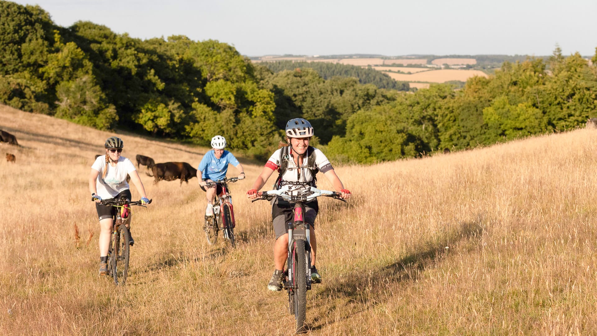 Cyclists riding through the Dorset hills on a summer day