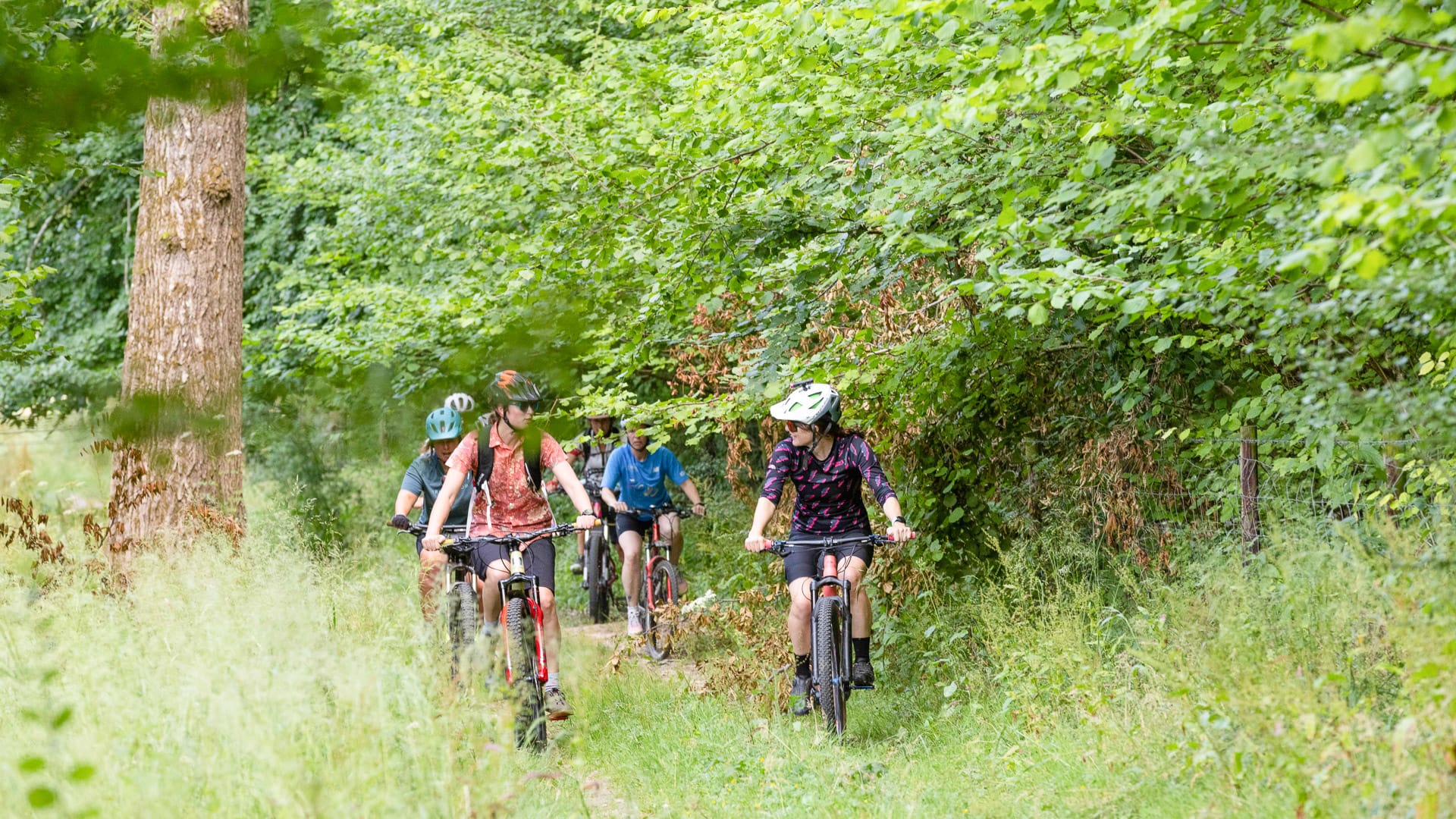Cyclists riding along a forested route beneath trees in Dorset