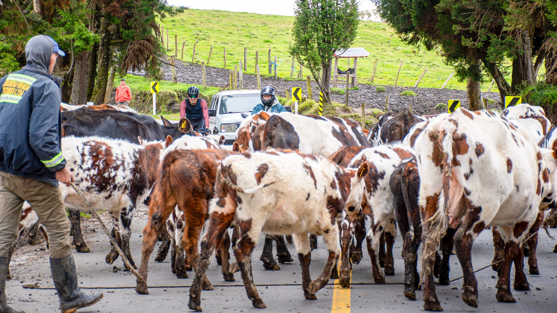 Cyclists passing by busy roads in the Alto de Letras region