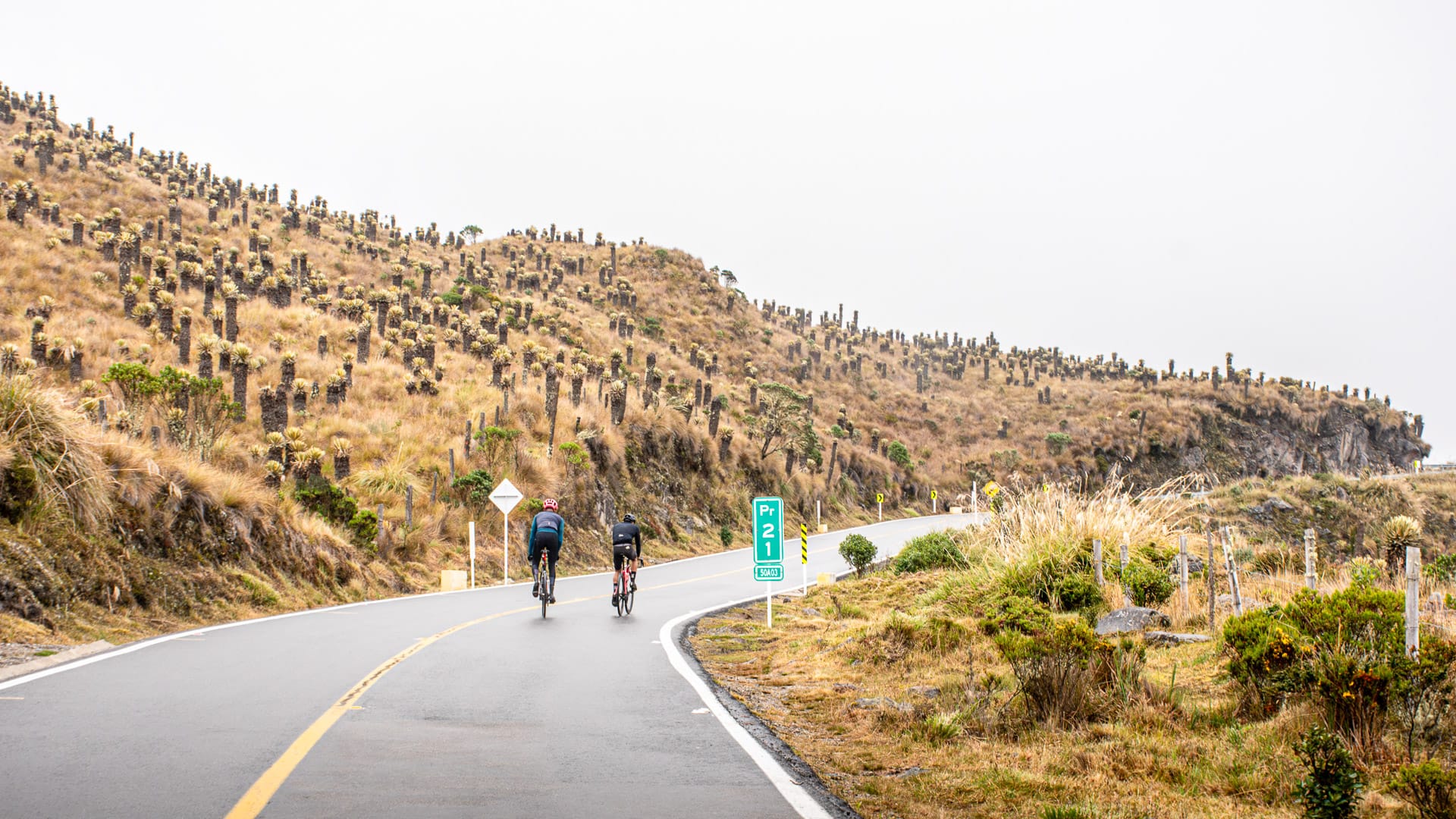 Cyclists exploring the Los Nevados National Park