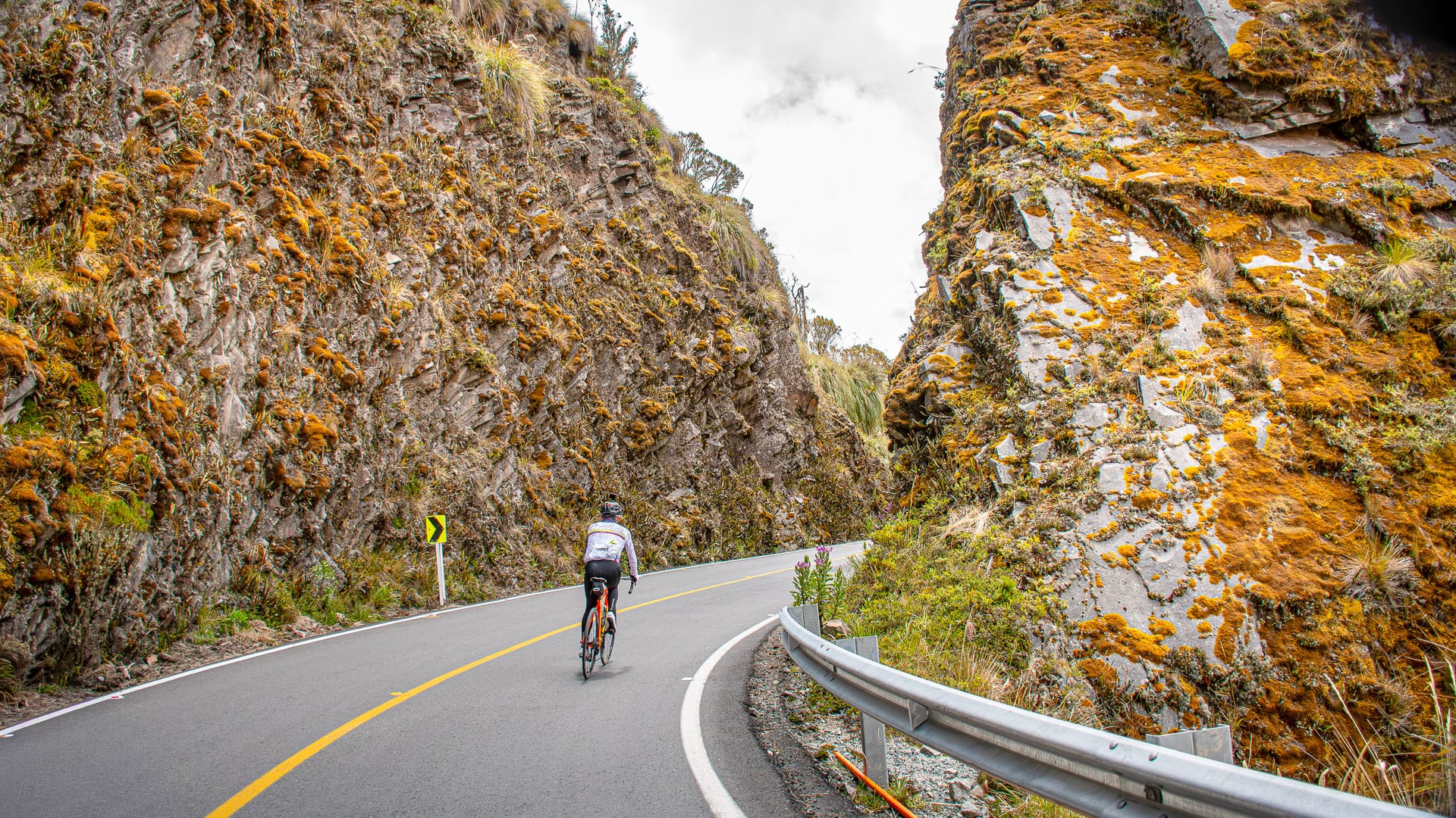 Cyclist tackling the Los Nevados National Park 
