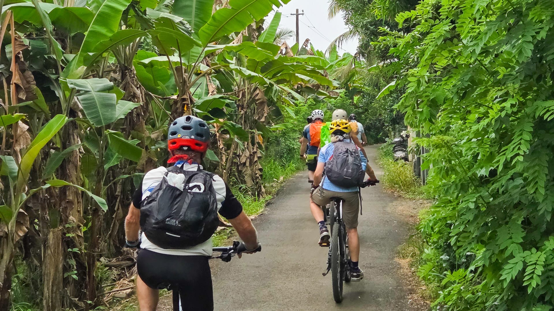 Cyclists riding along a village road in Kerala, India