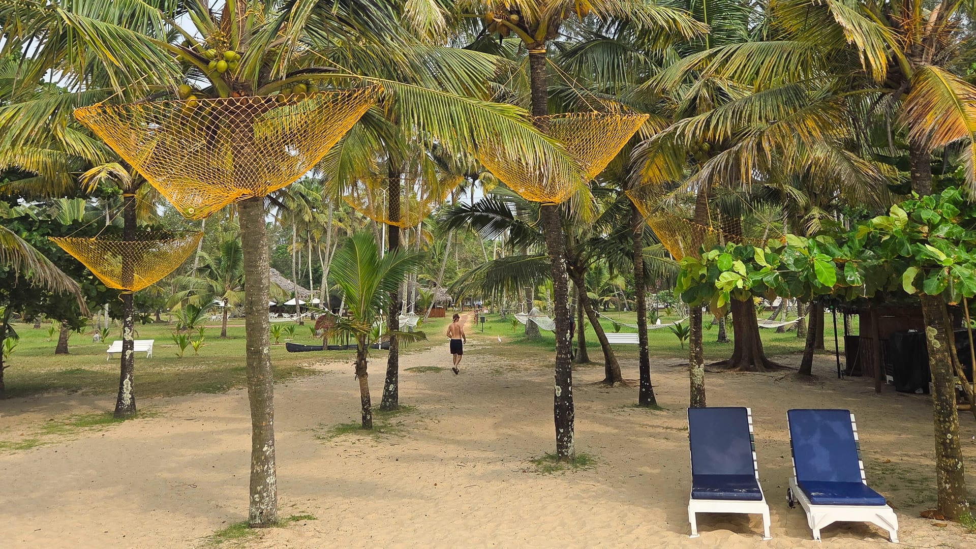 Beach at Marari Beach Resort in Kerala, India