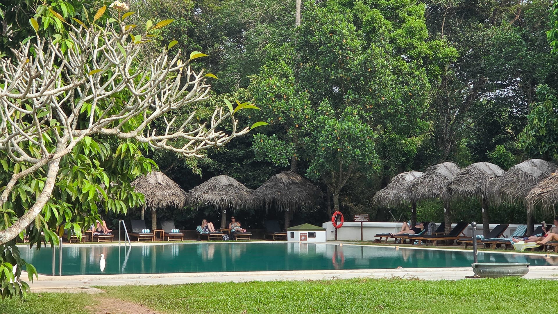 Swimming pool at Marari Beach Resort in Kerala, India