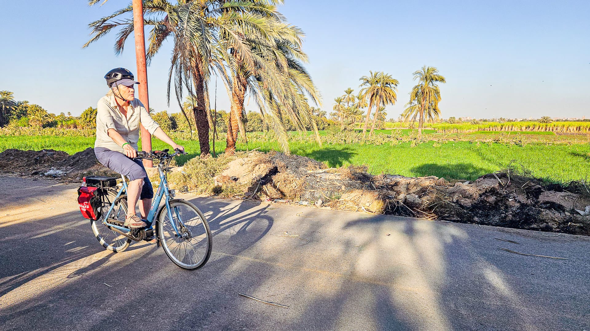 Cyclists riding past palm trees during a Boat Bike Tours Egypt holiday