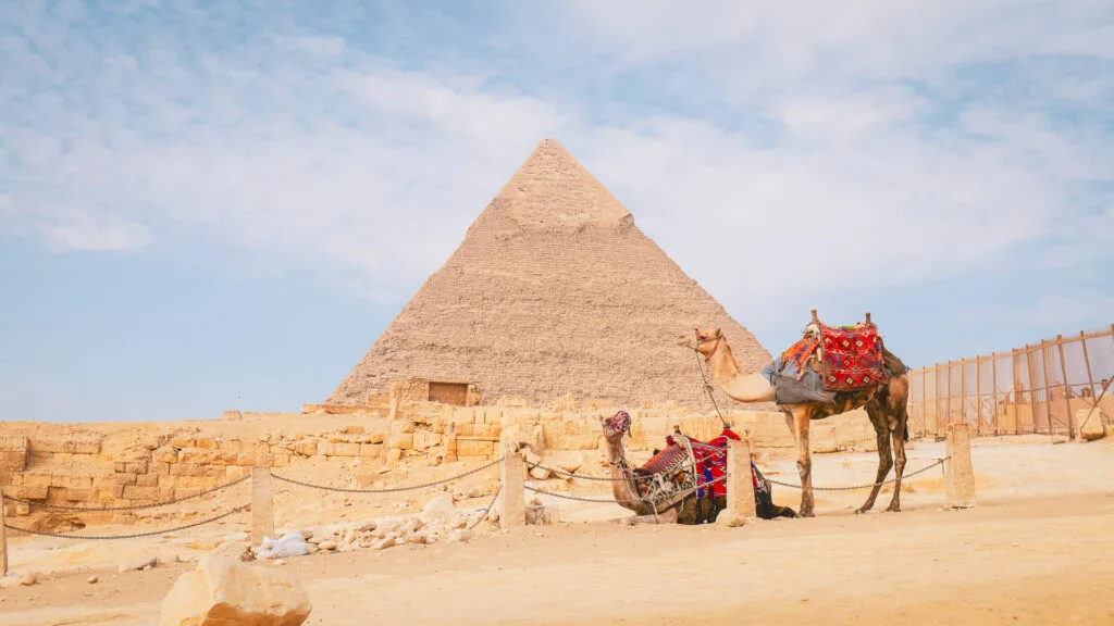 Two camels standing beside a pyramid during a Boat Bike Tours Egypt holiday