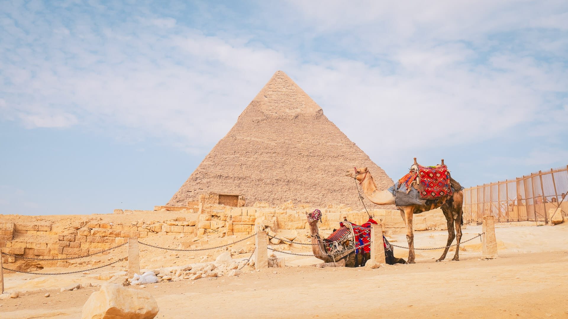 Two camels standing beside a pyramid during a Boat Bike Tours Egypt holiday