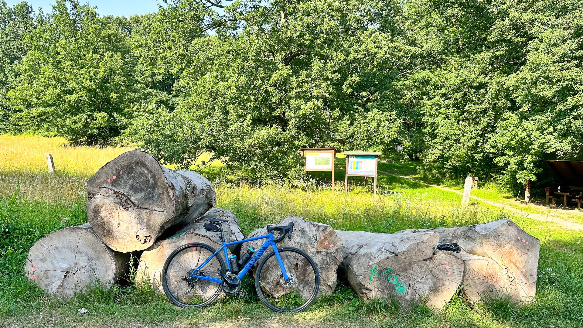 Cyclist riding on a traffic-free forest road in the Visegrád Mountains north of Budapest