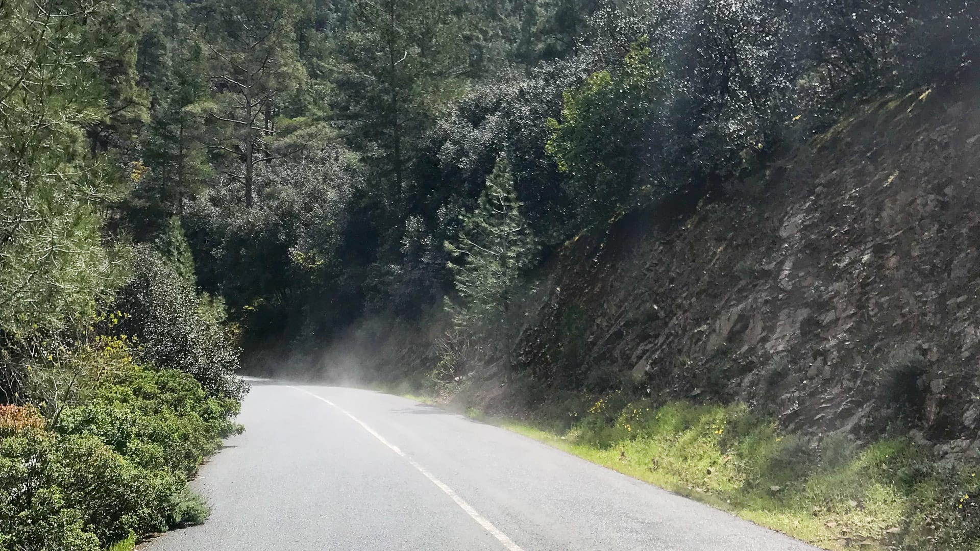 Road on the Paphos Forest cycling route