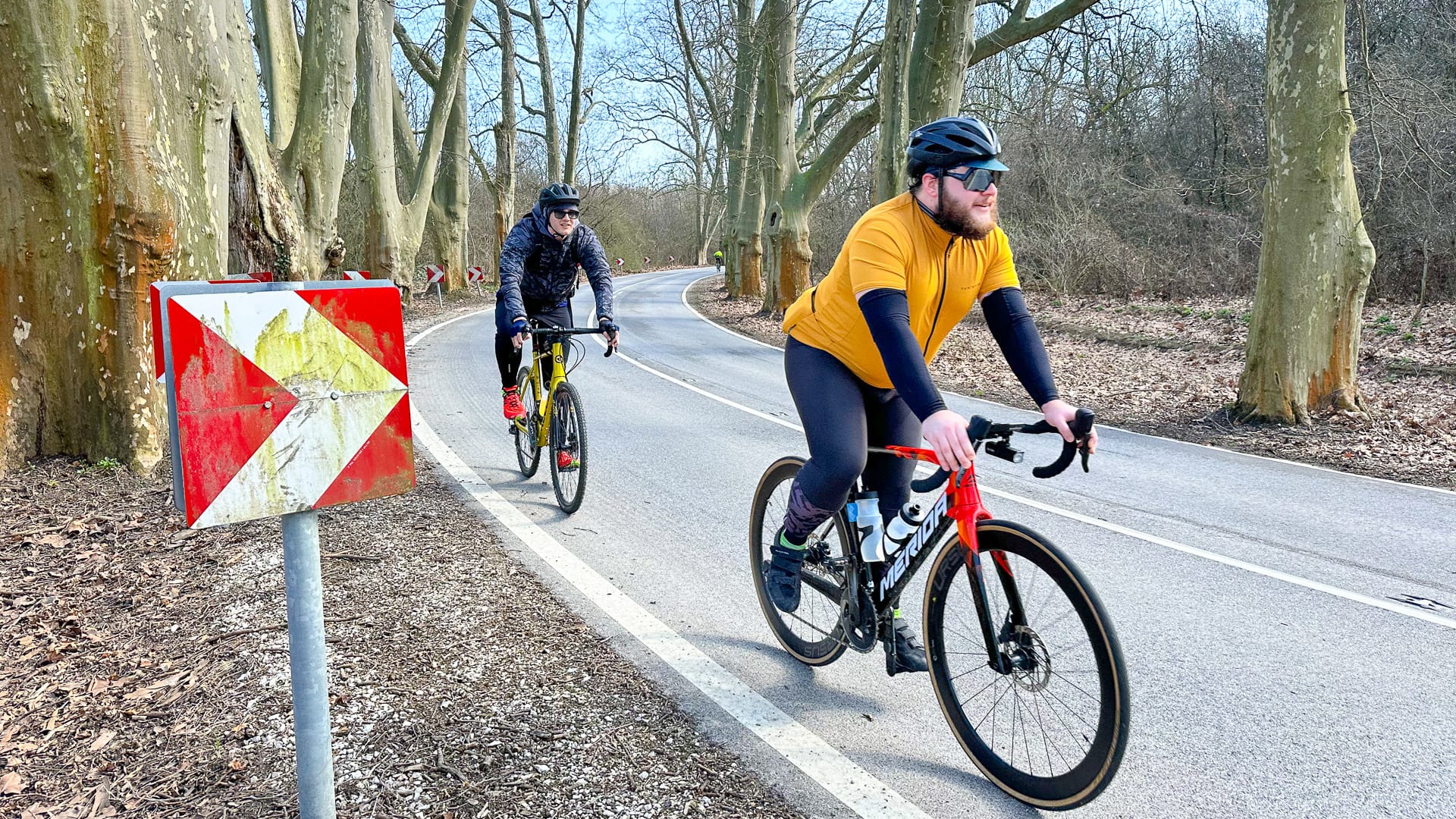Cyclists riding among 200-year-old plane trees in Hungary