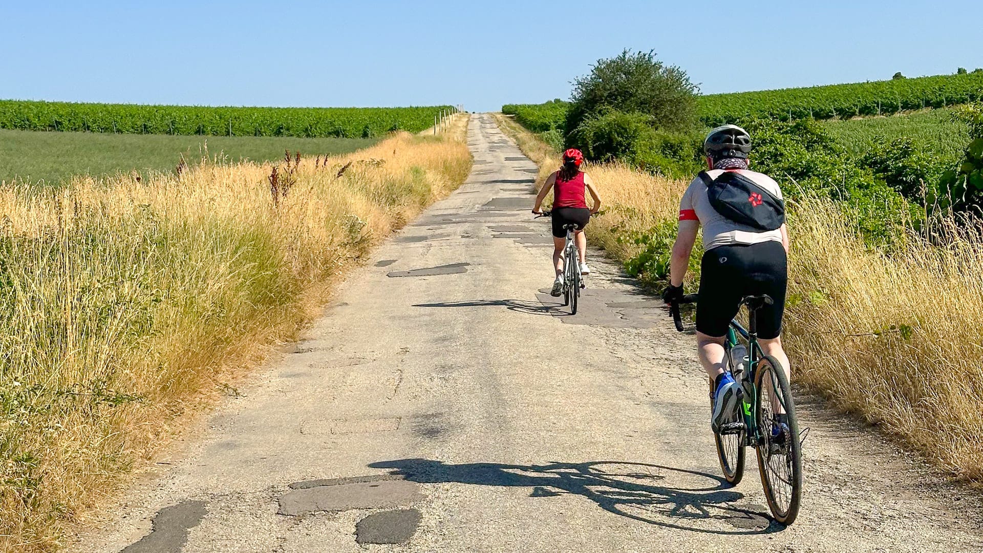 Rough road through vineyards near Etyek in Hungary