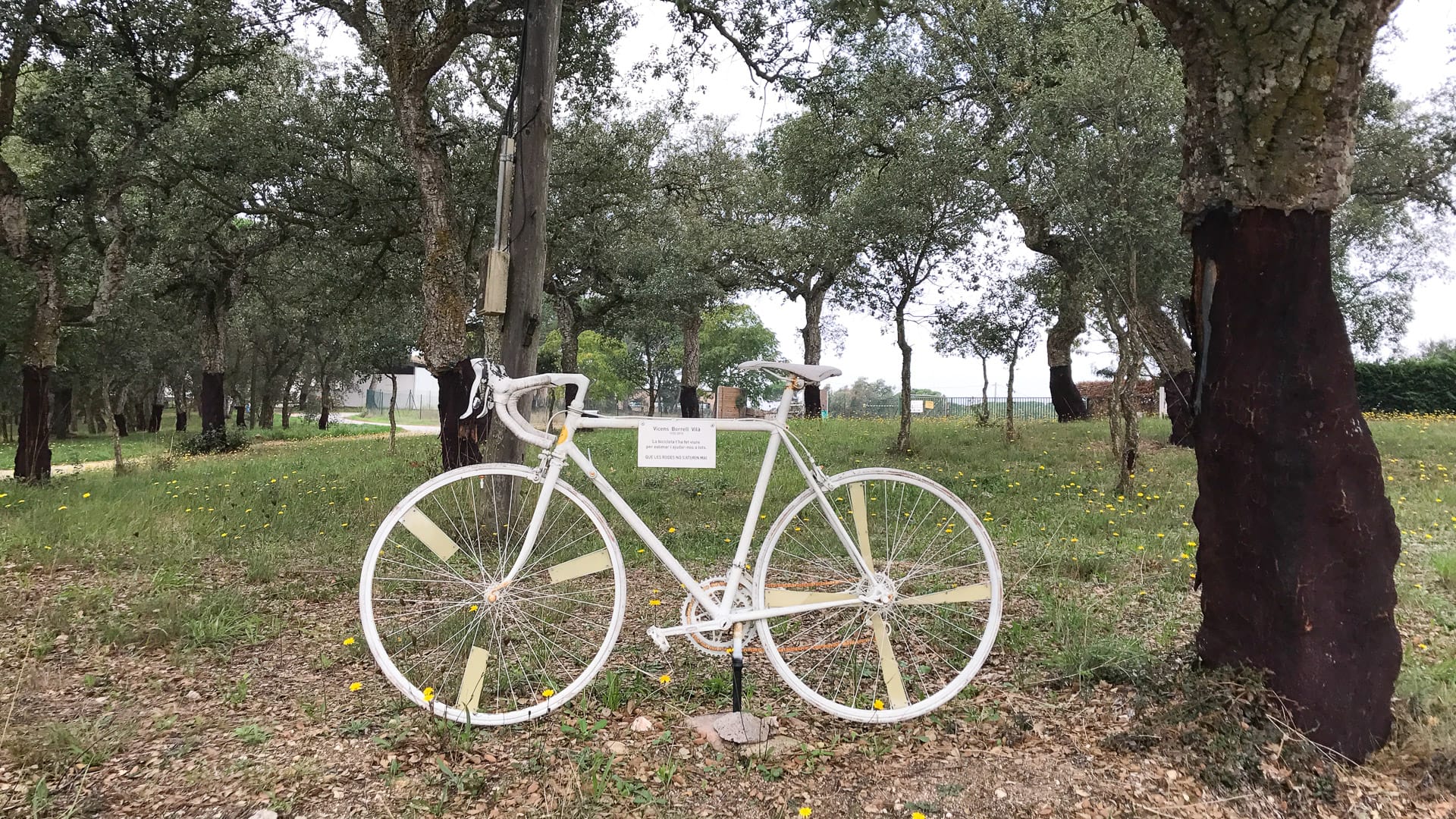 Bike route signage in Sant Andreu Salou