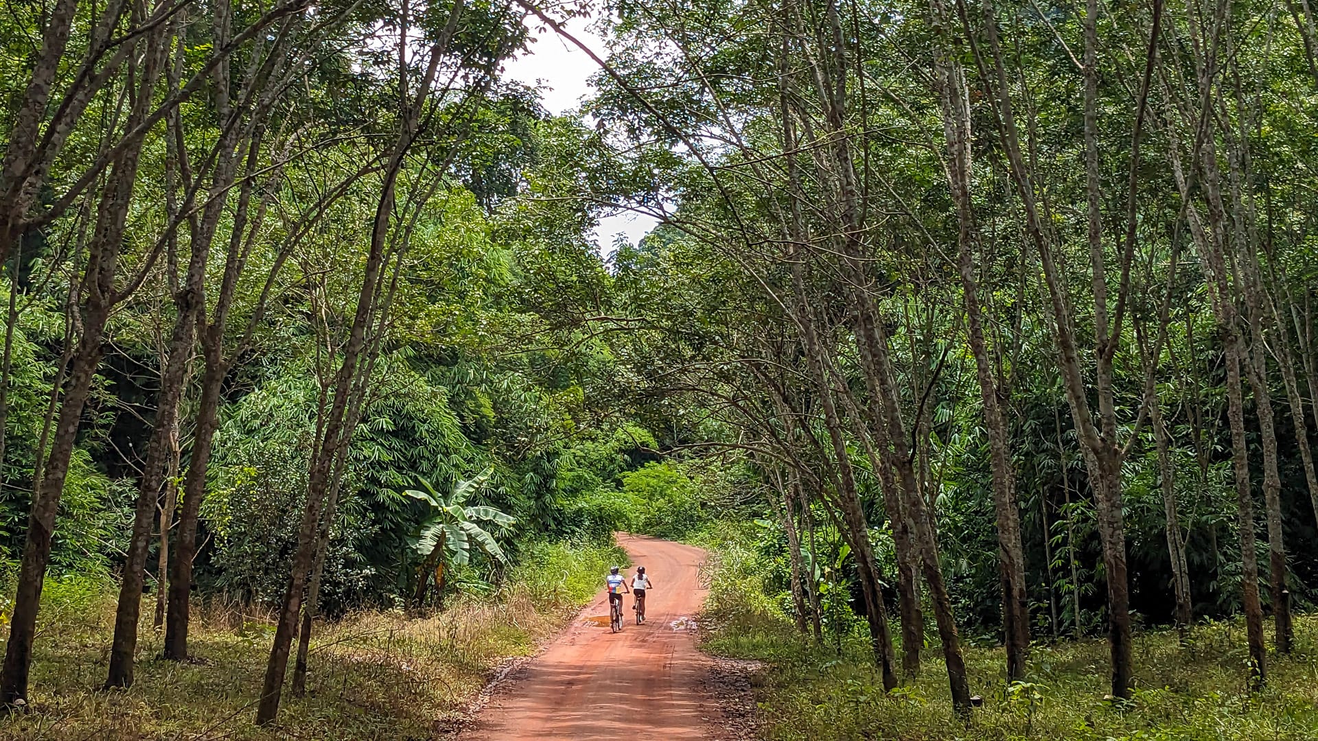 Cycling along dirt roads in Kanchanaburi, surrounded by the peaceful countryside of western Thailand