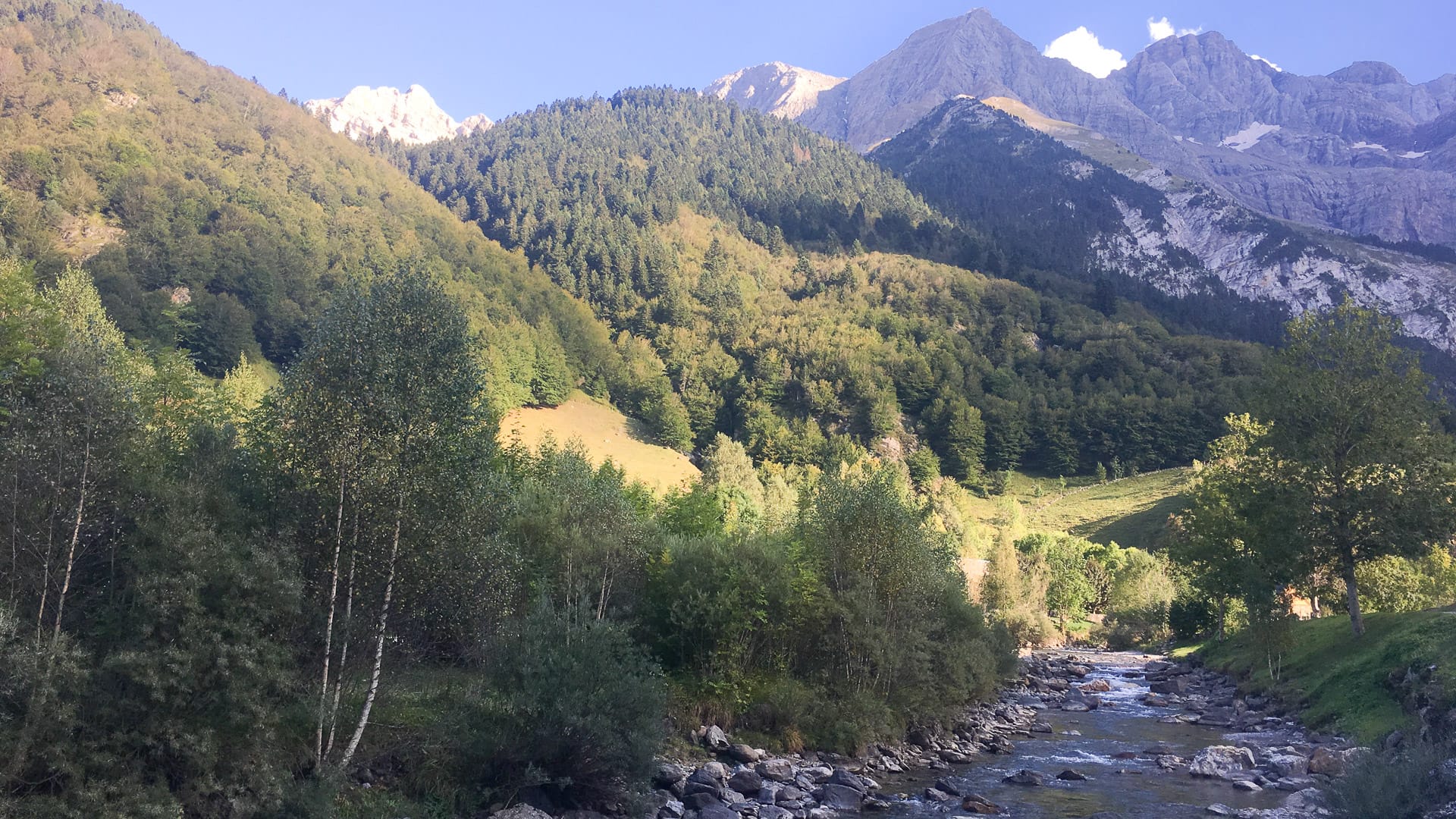 A mountain river flowing through the French Pyrenees