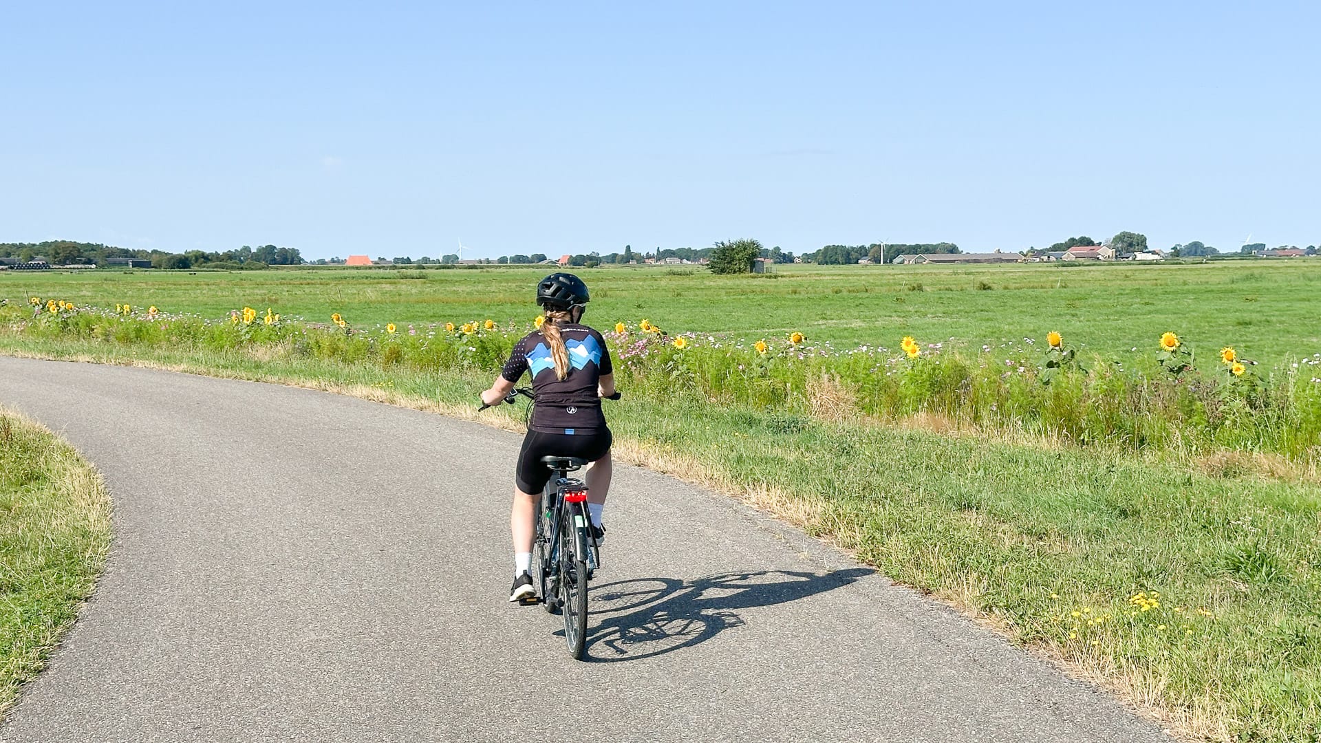 Cycling towards Workum on day seven of the Netherlands sail and bike tour