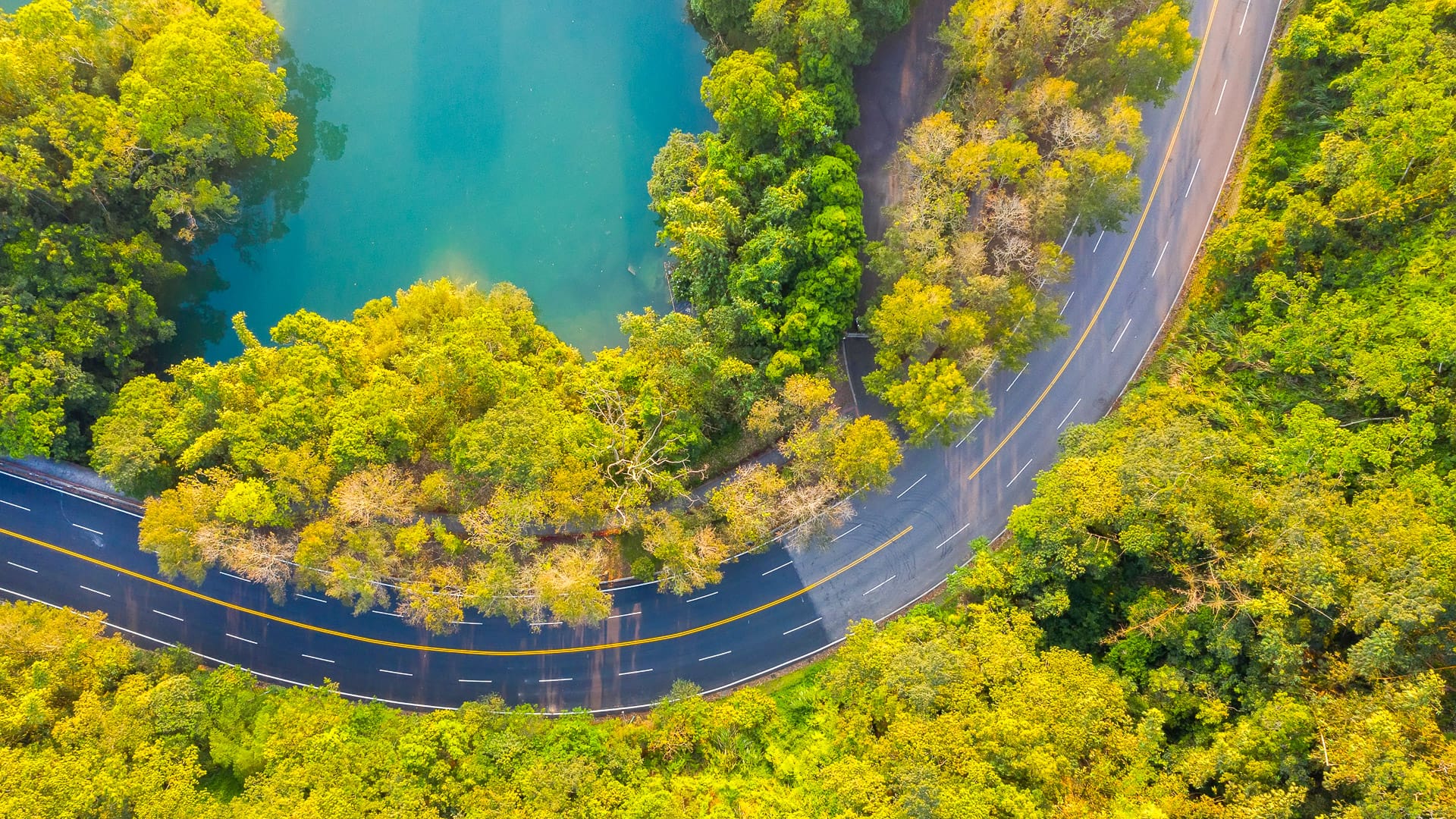 aerial view of a road with forest in Sun Moon Lake at Nantou, Taiwan