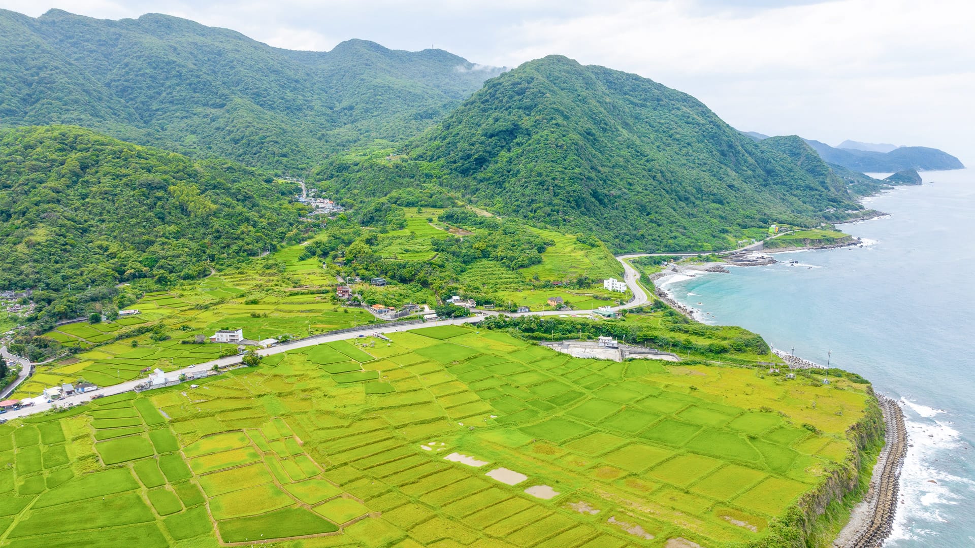 Taiwan Hualien rice field over the sea in Fengbin Township, Shitiping Coastal Stone Step Plain