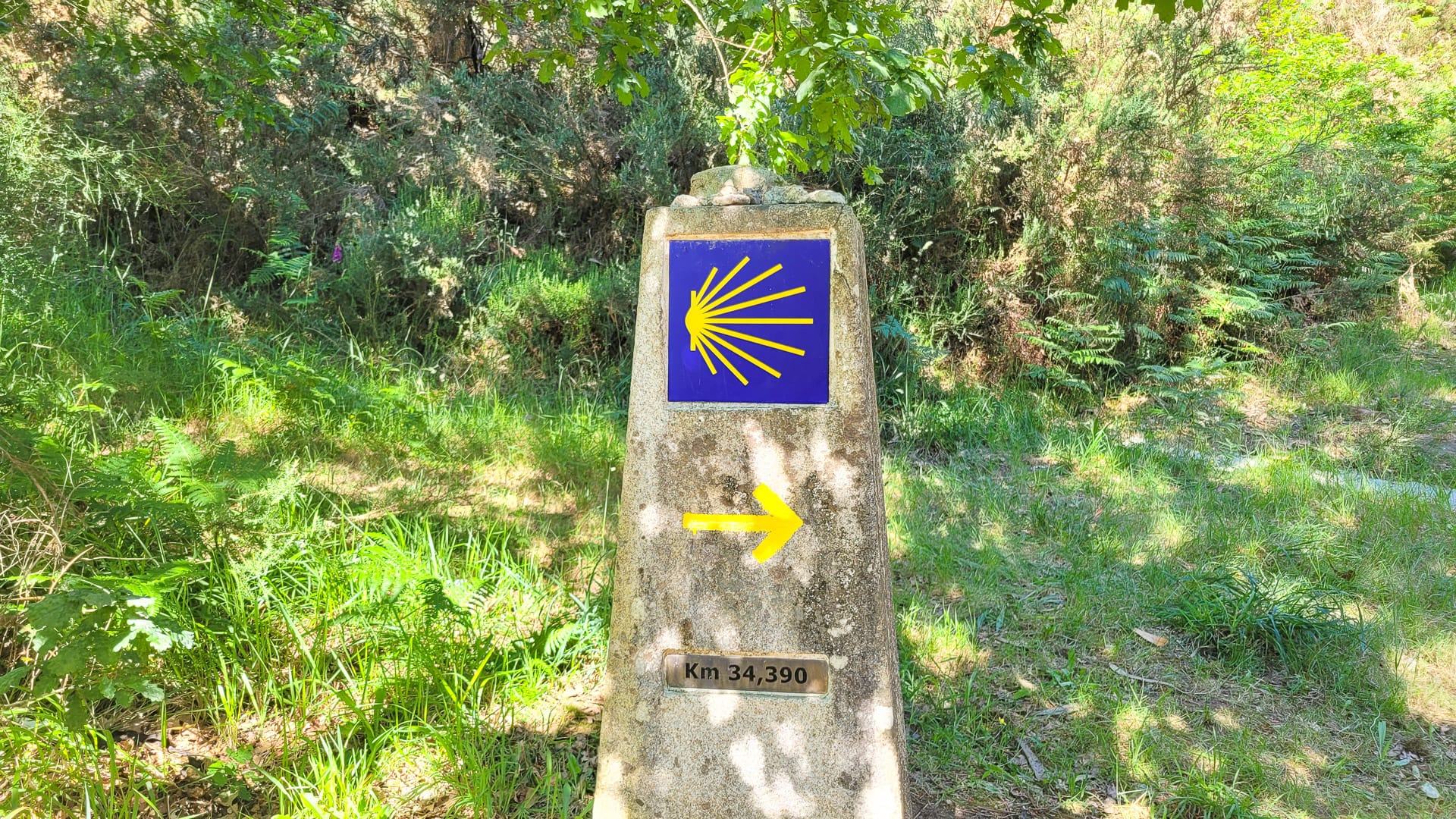 Camino arrow marking the Camino Francés route