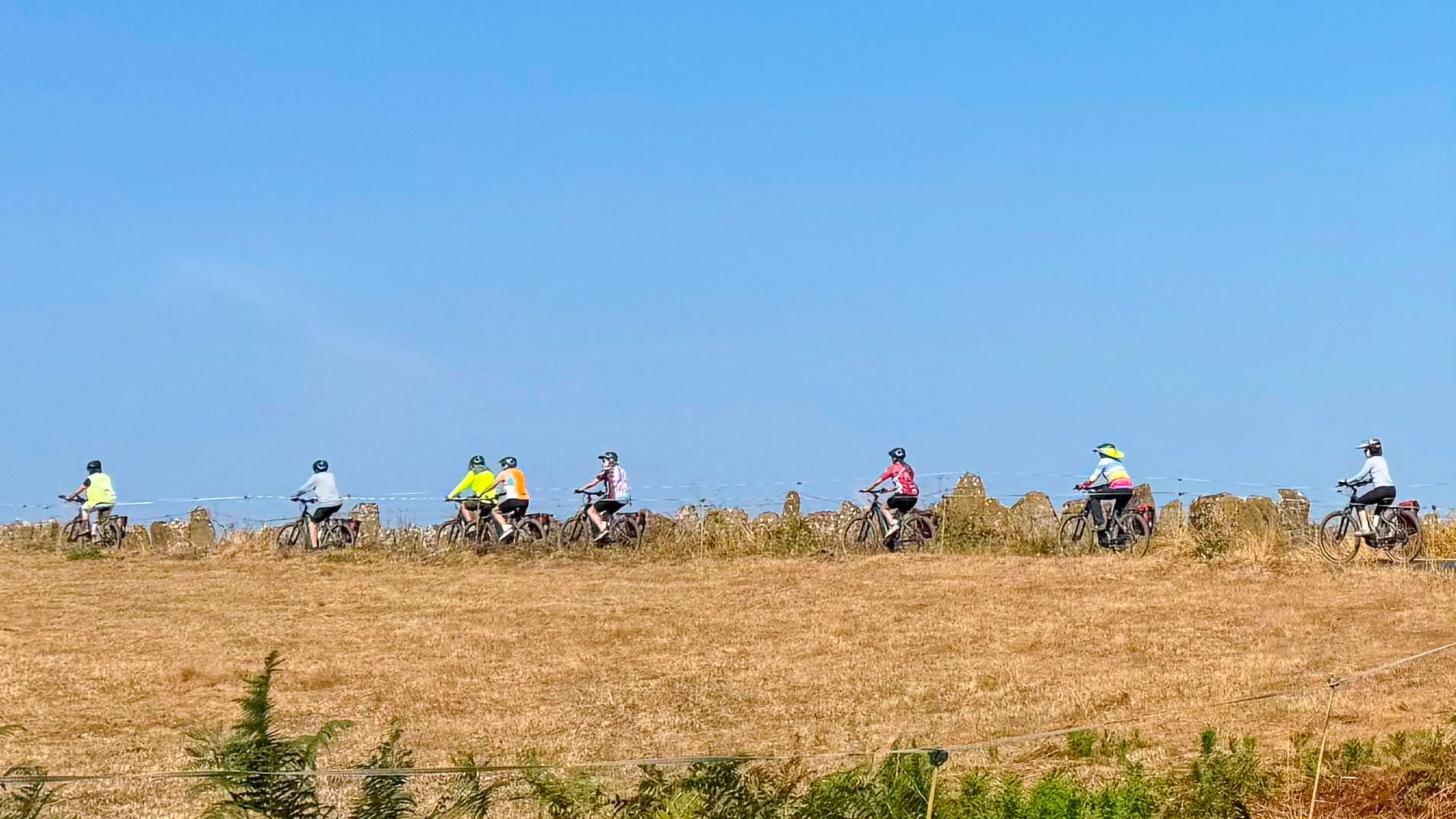 Cyclists riding along the Camino Francés