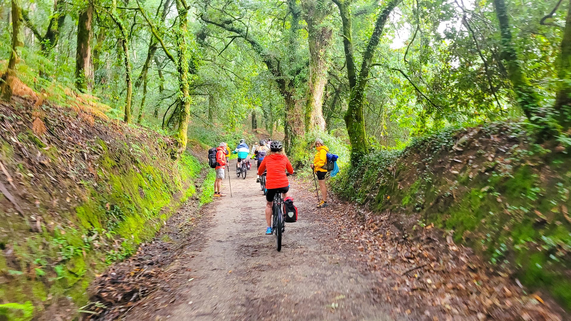 Section of the Camino de Santiago along the Camino Francés