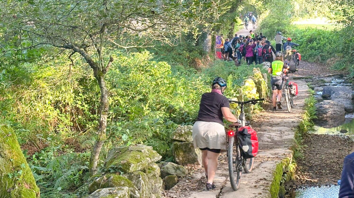 Cyclists riding along a tree-lined stone path beside a small stream on the Camino Francés