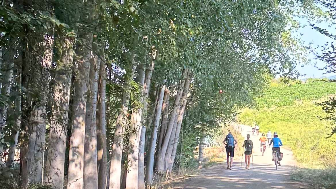 Cyclists riding past walkers on the Camino Francés