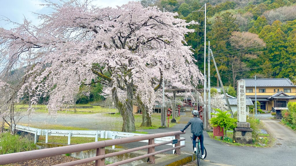 Cyclists riding the Ashikaga loop route in Japan